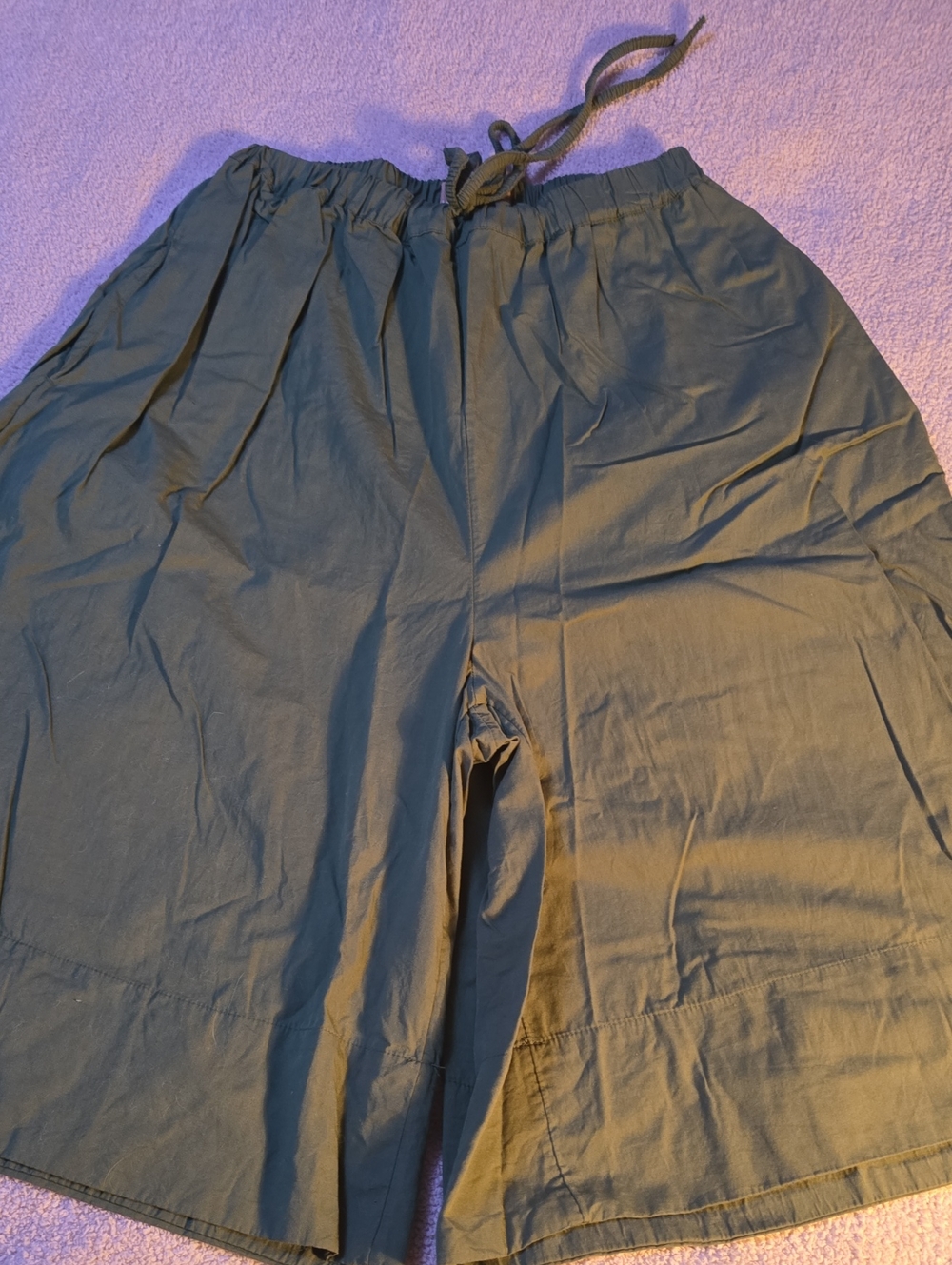 Free People Menocra Slouchy Capris - Picture 2 of 6